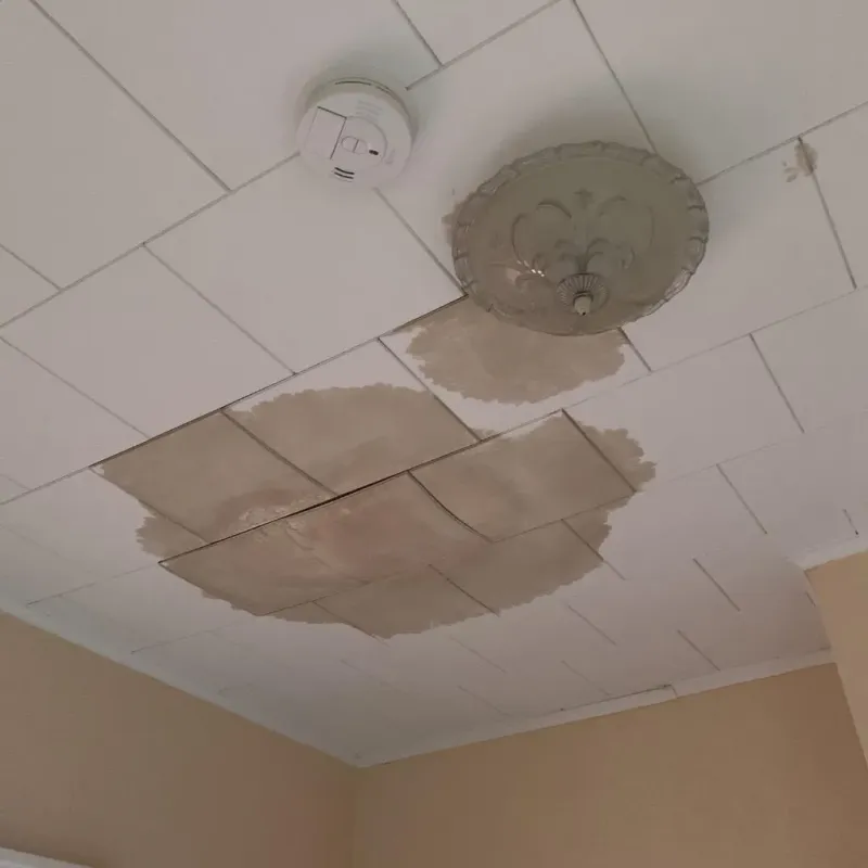 Ceiling Water Damage Repair in Wadena County, MN