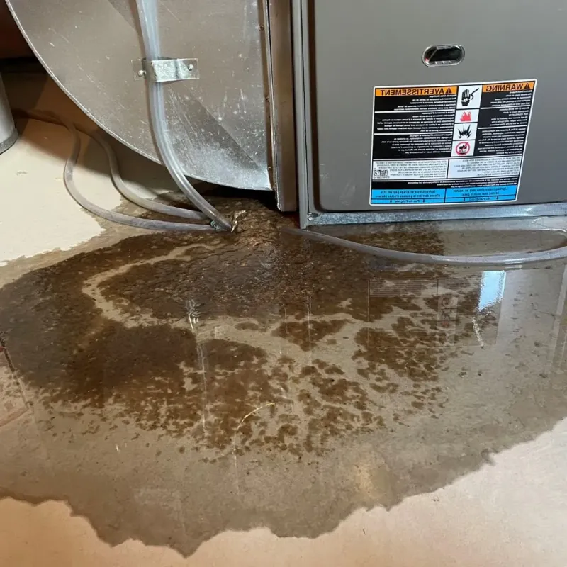 Pipe Burst and Leak Restoration in Wadena County, MN